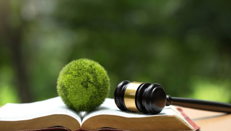 Image of a gavel on an open book