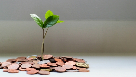 A sapling growing from a pile of coins